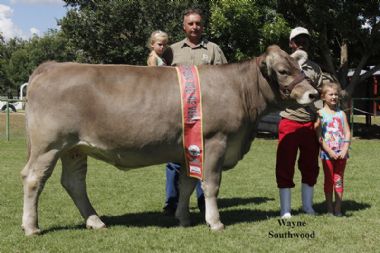 L 4630 - Els 12 07, Junior Kampioen vers/koei met Fanie Els en dogter Stephanie (3), Isak Thladi en Gabriel (6) Fanie se dogters. Eienaar SP Els Braunvieh stoet, (0834097381 - Fanie).